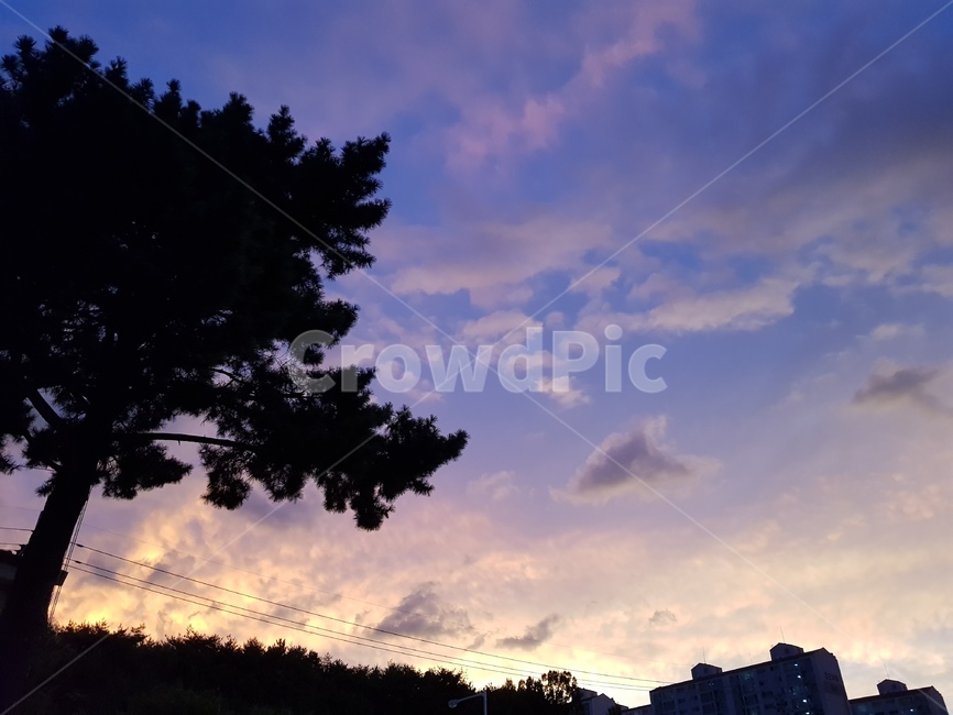 nature,자연,outdoors,sky,하늘,나무,구름,자연,풍경,nature,landscape,옥외
