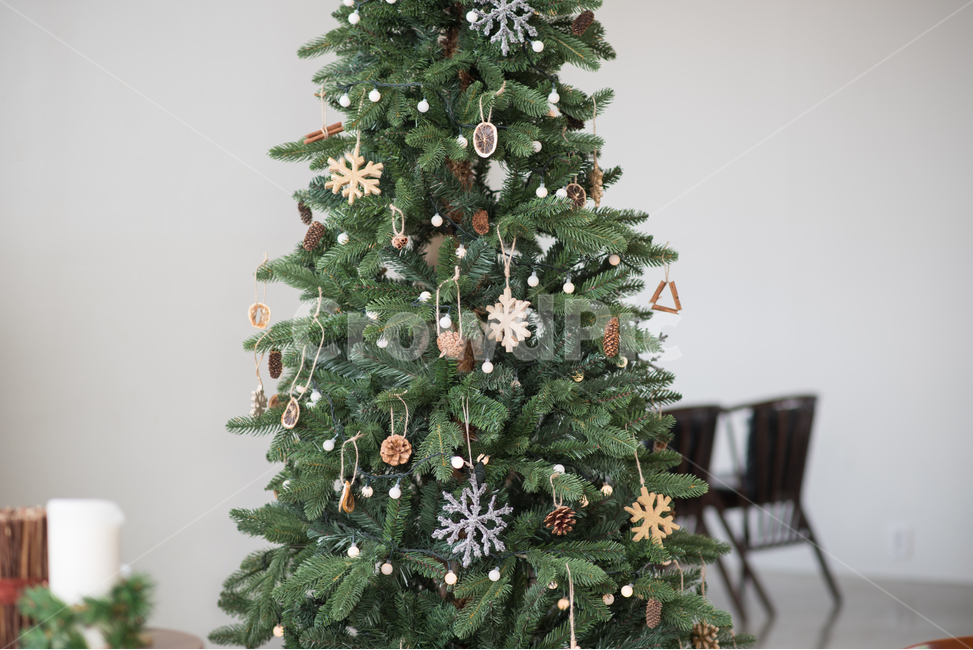 cafe interior,cafe,vintage,interior,Modern