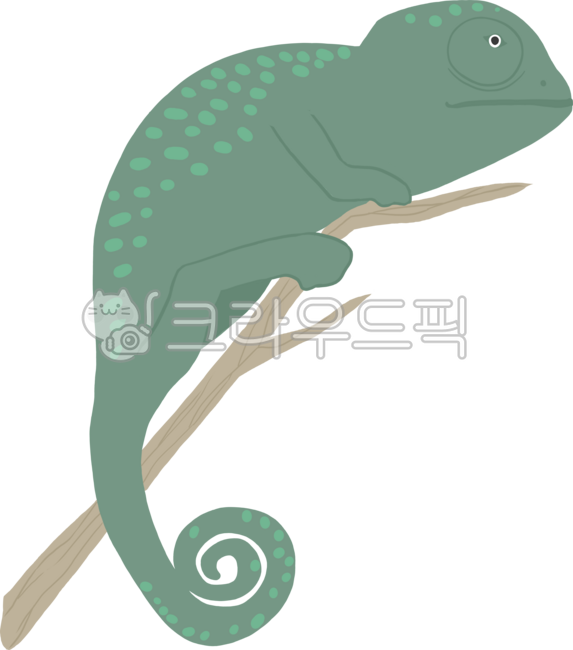 파충류,카멜레온,전시관,박물관,스티커,장식