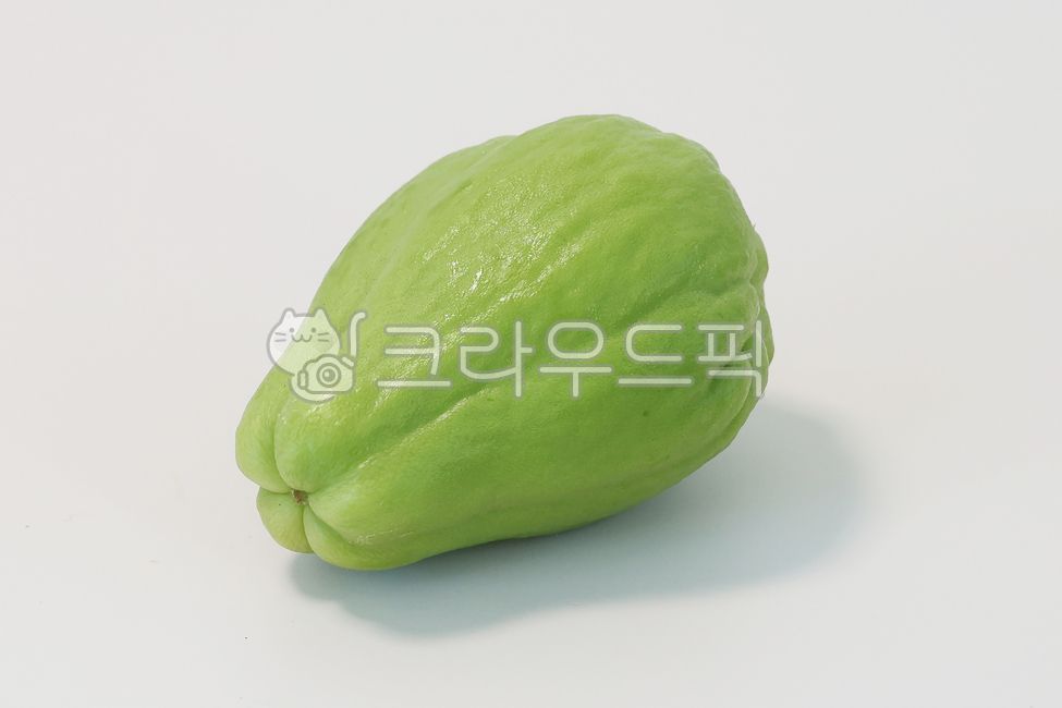 차요테, 식재료, 야채, 채소, 과채, 사진,이미지,일러스트,캘리그라피 - 크리에이티브엘리작가