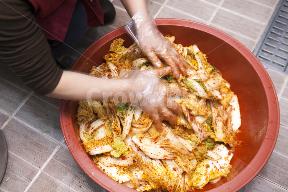 배추,겉절이,김치,김장,김장김치,음식,식재료,요리,food,cook,meal,dishes,food reserves