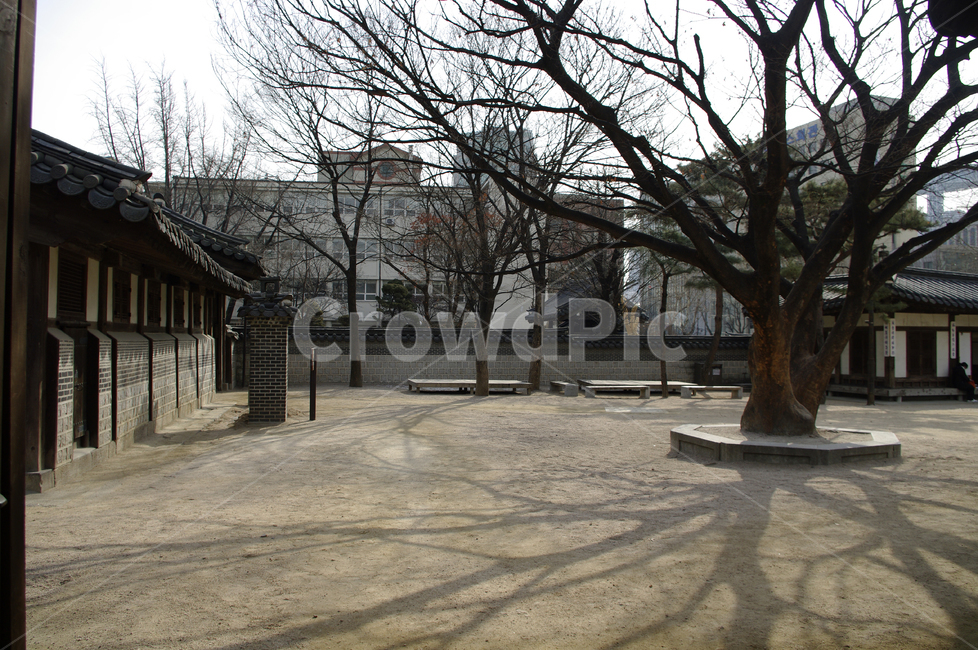 tradition,전통,한옥,전통가옥,운현궁,건축,마당,나무