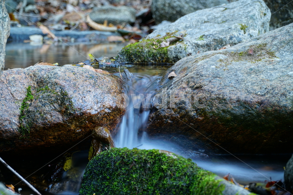 계곡,무지랭이계곡,자연,가을,autumn,fall,11월,낙엽,물,water,나무,바위,돌,암석,tree,nature,rock,valley,outdoors,fallen,leaf,잎,식물,plant,이파리,단풍,한국자연,november,leaves,이끼,자연,풍경,nature,landscape