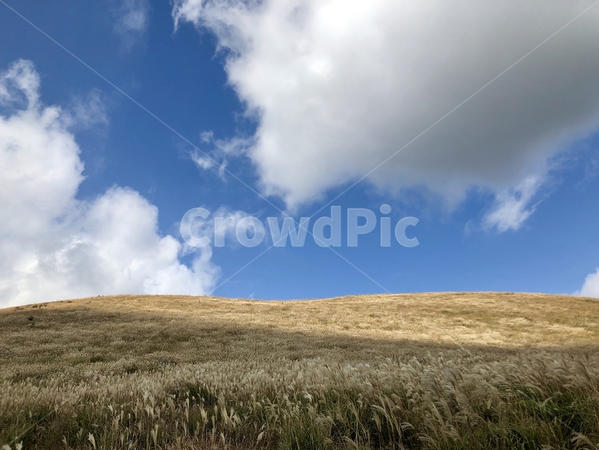 언덕,하늘,그림자,구름,grassland,목초지,outdoors,옥외,field,들,nature,자연