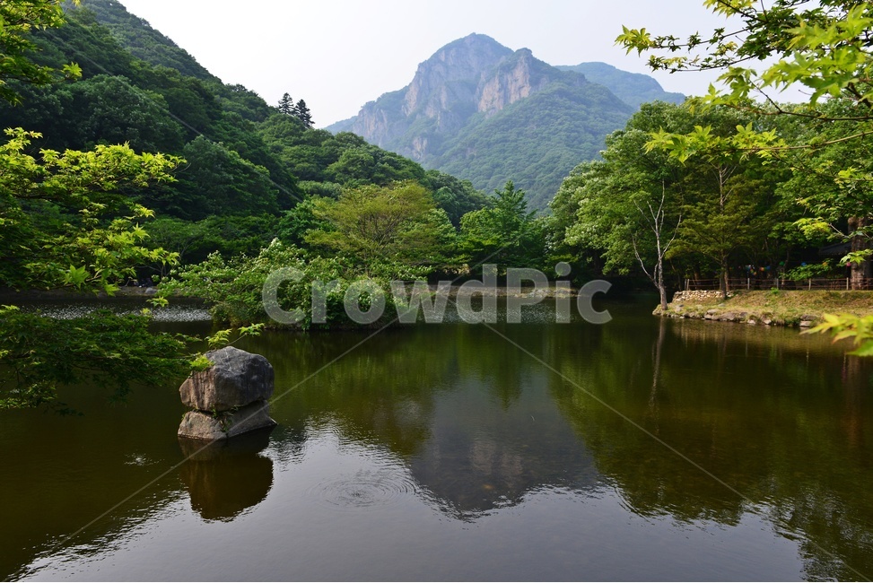 전남,장성,백양사,연못,반영,백학봉,바위,nature,자연,water,물,outdoors,옥외,봄,자연,풍경,nature,landscape
