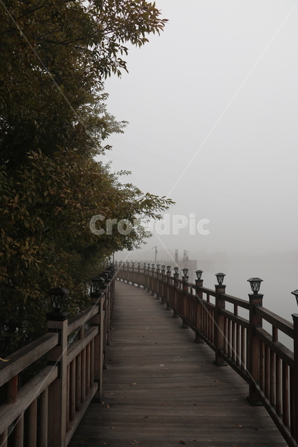 안개,호수,데크길,산책로,새벽안개,탑정호,수변공원,자연,풍경,nature,landscape,banister,난간,handrail,railing,bridge,다리,boardwalk,building,건물