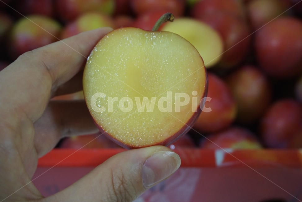 자두,과일,자두사진,새콤달콤자두,자두대석,대석자두,과일사진,맛있는과일사진,맛있는과일,여름과일,여름과일자두,느낌,감성,감성사진,음식,식재료,요리,food,cook,meal,dishes,food reserves,과일,열매,fruit