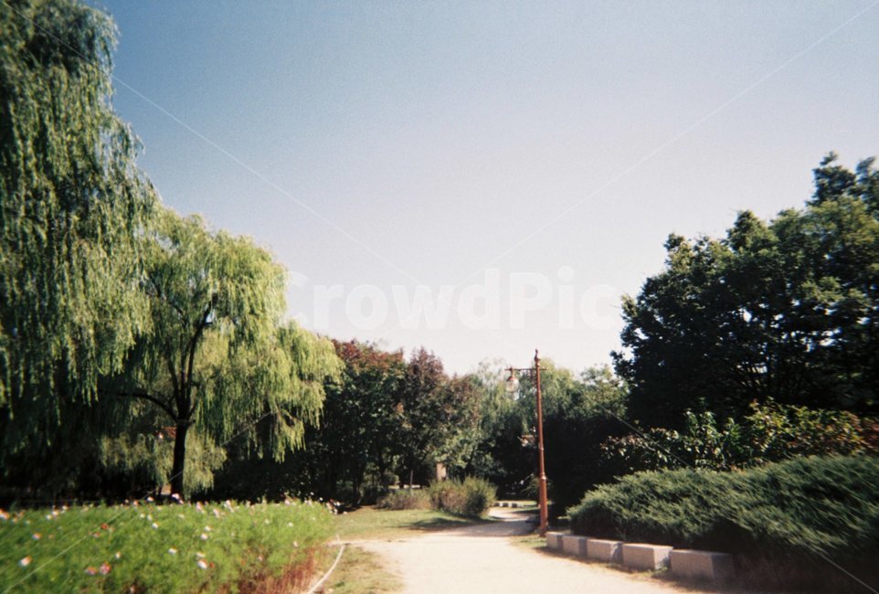 길,나무,하늘,풍경,가을,자연,풍경,nature,landscape,tree,plant,식물