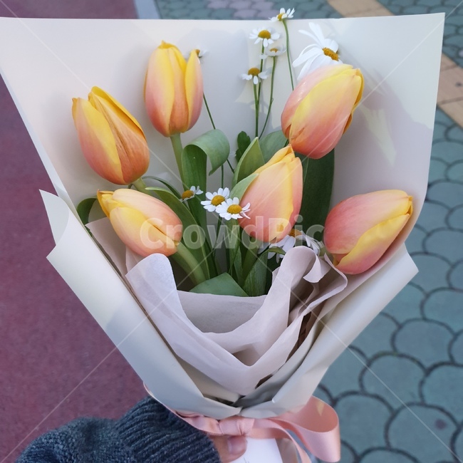 꽃다발,튤립,망고튤립,꽃,flower,tulip,꽃,flower,기념일,축하,anniversary,congratulation,celebrate,celebration