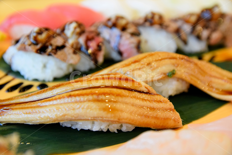 장어,장어초밥,초밥,회,생선회,생선쪽,일식,일본음식,음식,식사,해산물,meal,food,seafood,음식,식재료,요리,food,cook,meal,dishes,food reserves,수산물,해산물,fishery products,seafood,일식,일본음식,일본요리,Japanese food,Japanese dishes,Japanese meal,Japanese cook