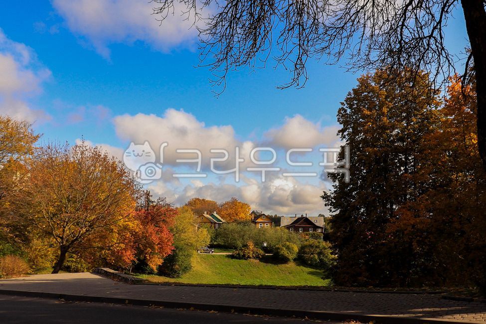 Eastern Europe Autumn,Eastern European maple leaves,Eastern Europe,nature,european maple leaves,tree,european country road,Eastern European Village,Eastern European countryside,Trakai,Lithuania,Eastern European country house