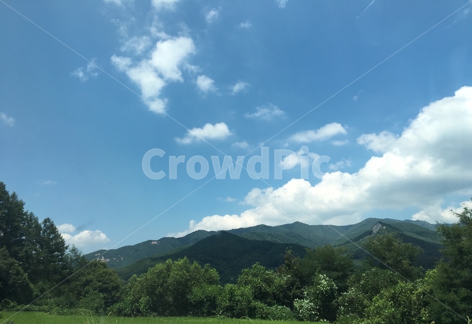 하늘,산,나무,구름,평온,자연,풍경,nature,landscape,grass,잔디,plant,식물,outdoors,옥외,grassland,목초지,field,들