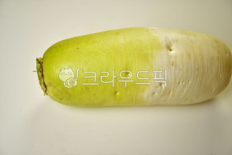 무우,무,야채,채소,농산물,먹거리,식재료,요리재료,food