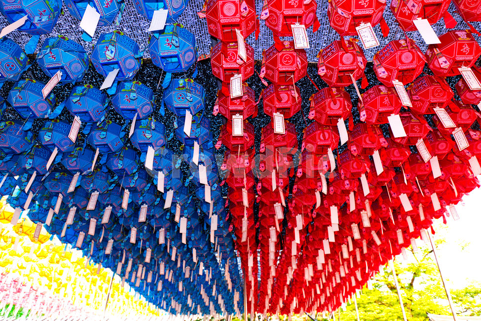 절,자연,nature,패턴,pattern,색,color,수덕사,연등,종교,신앙,religion,belief,faith,축제,행사,festival,carnival,event