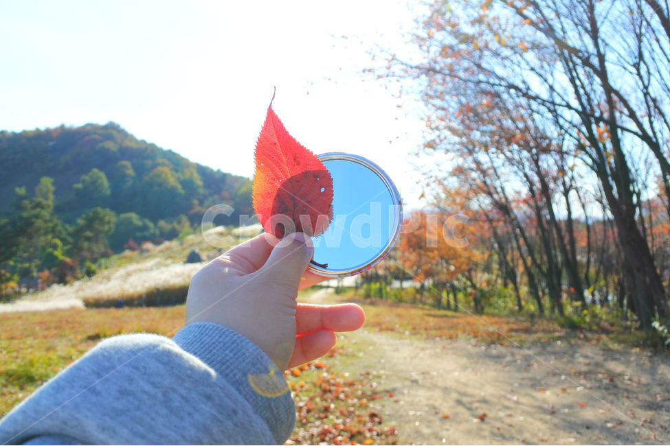컨셉,거울,하늘,낙엽,가을,mirror,fall,손,가을,계절,fall,autumn,season