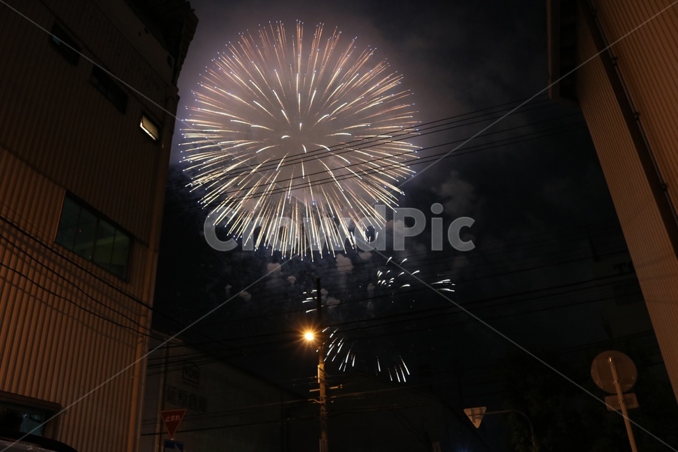 오사카,일본,하나비,폭죽,불꽃축제,nature,자연,outdoors,옥외