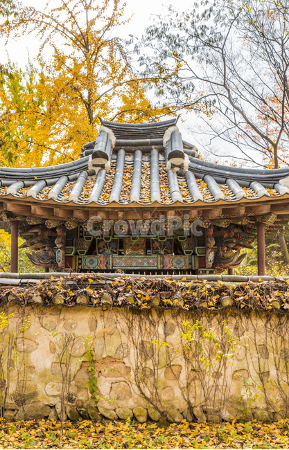 사당,기와,낙엽,단풍,가을,담장,담장이넝쿨,가을,계절,fall,autumn,season,한국전통,한국문화,korean traditional,korean culture,건축물,건물외관,exterior,building,structure,architecture,construction,건물,temple,신전