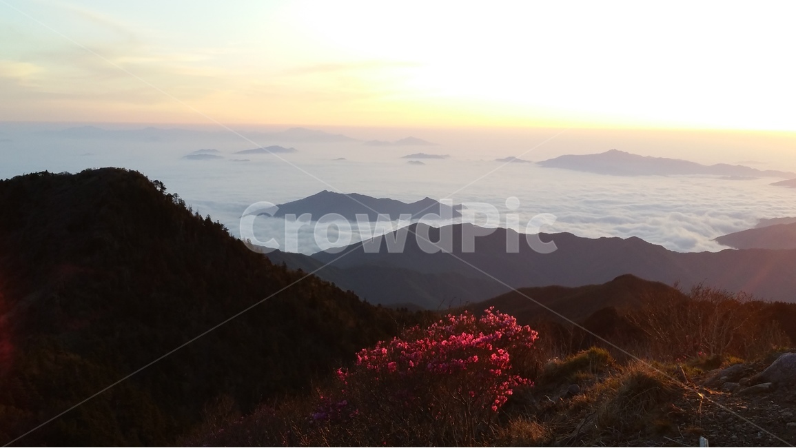 지리산,천왕봉,일출,운해,철쭉,자연,풍경,nature,landscape,한국자연풍경,한국자연경관,korea nature landscape,outdoors,옥외,mountain,산,mountain range,산맥