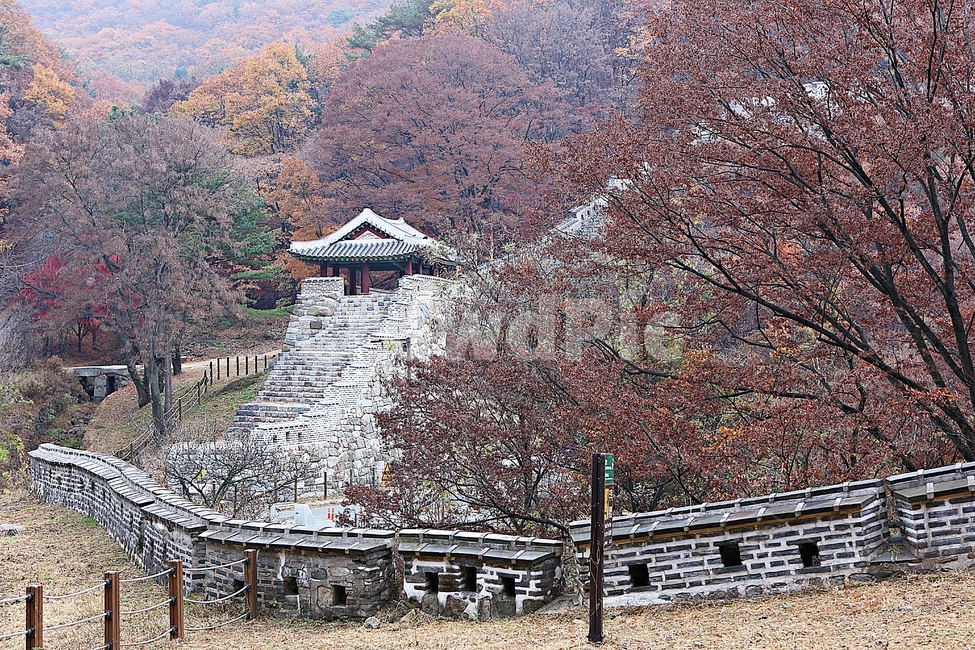 남한산성,성,성곽,단풍,낙엽,길,둘레길,담,돌담,가을,자연,풍경,벽,울긋불긋,산성,식물,가을,계절,fall,autumn,season,한국전통,한국문화,korean traditional,korean culture,nature