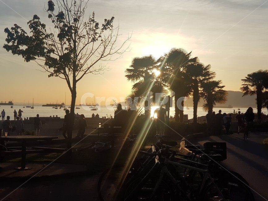 sunlight,빛,햇빛,야경,light