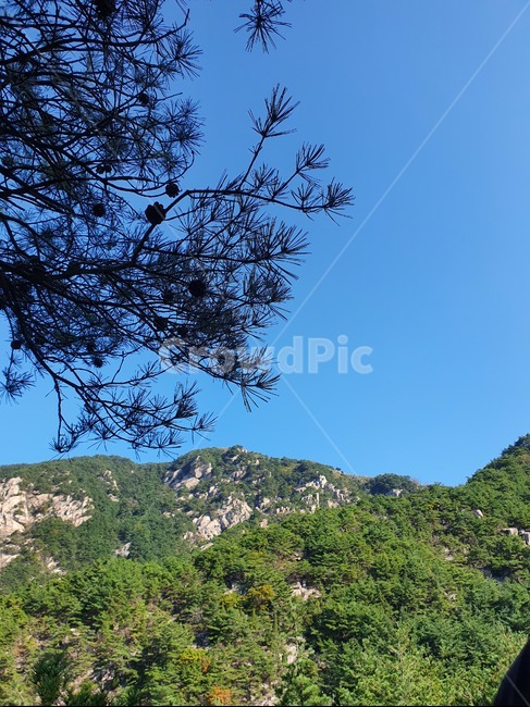 산,자연풍경,하늘,산정상풍경,산능선,산꼭대기,mountainrange,산맥,mountain,hill,언덕,구름,가을하늘,파란하늘,nature,자연,outdoors,옥외,countryside,화왕산,암벽,소나무,tree,나무,plant,식물,솔잎,솔방울,자연,풍경,nature,landscape