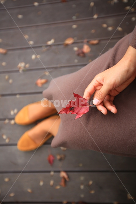 자연,사람,식물,가을,여자,패션,낙엽,단풍,물들다,붉다,단풍놀이,손,people,nature,단풍잎,가을,계절,fall,autumn,season,사람,인물,인간,human,person,신체일부,몸,body,여성,여자,woman,female,lady,감성,sensible,feeling,leaf,잎,plant