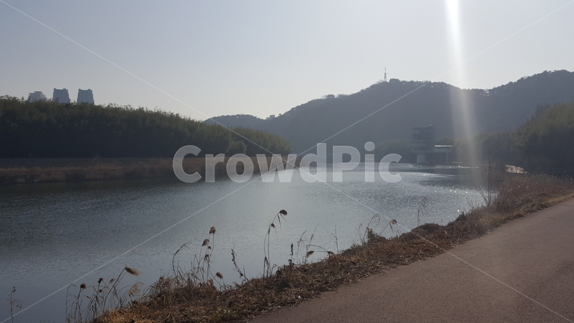 태화강,십리대밭,십리대숲,산책길,태화강전망대,river,bamboo,철새도래지,자연,풍경,nature,landscape,water,물,outdoors,옥외,reservoir,저수지,bird,새,animal,동물