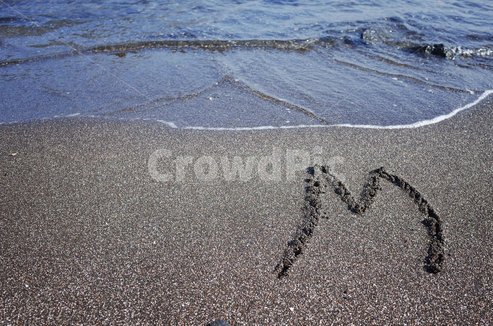 sand,모래,nature,자연,outdoors,옥외,shoreline,해안선,water,물,알파벳,alphabet,sea,바다,해변,beach