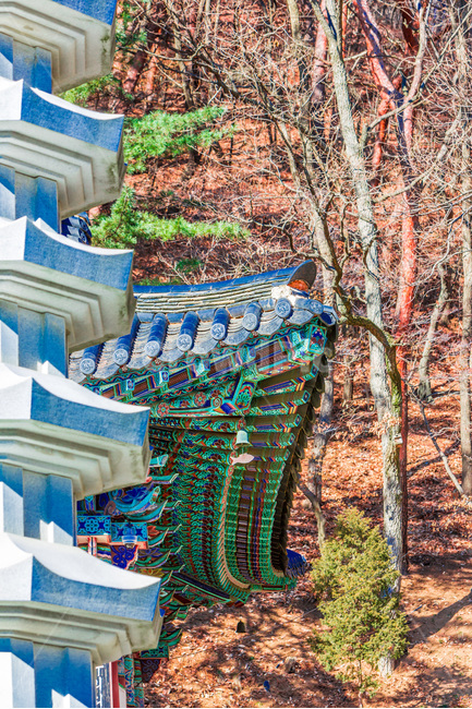 단청,선,패턴,문양,탑,전통,한국전통,한국문화,korean traditional,korean culture,종교,신앙,religion,belief,faith,건축물,건물외관,exterior,building,structure,architecture,construction