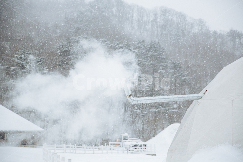 겨울,눈,풍경,감성,스냅,겨울,계절,winter,season,자연,풍경,nature,landscape,storm,폭풍,outdoors,옥외,blizzard,눈보라,snow