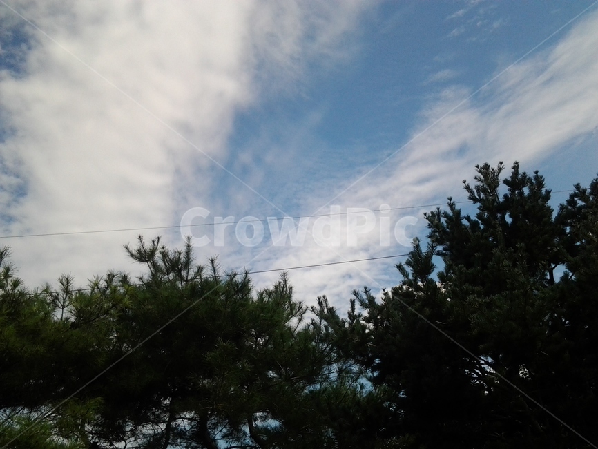 하늘,sky,구름,날개,cloud,wings,자연,풍경,nature,landscape