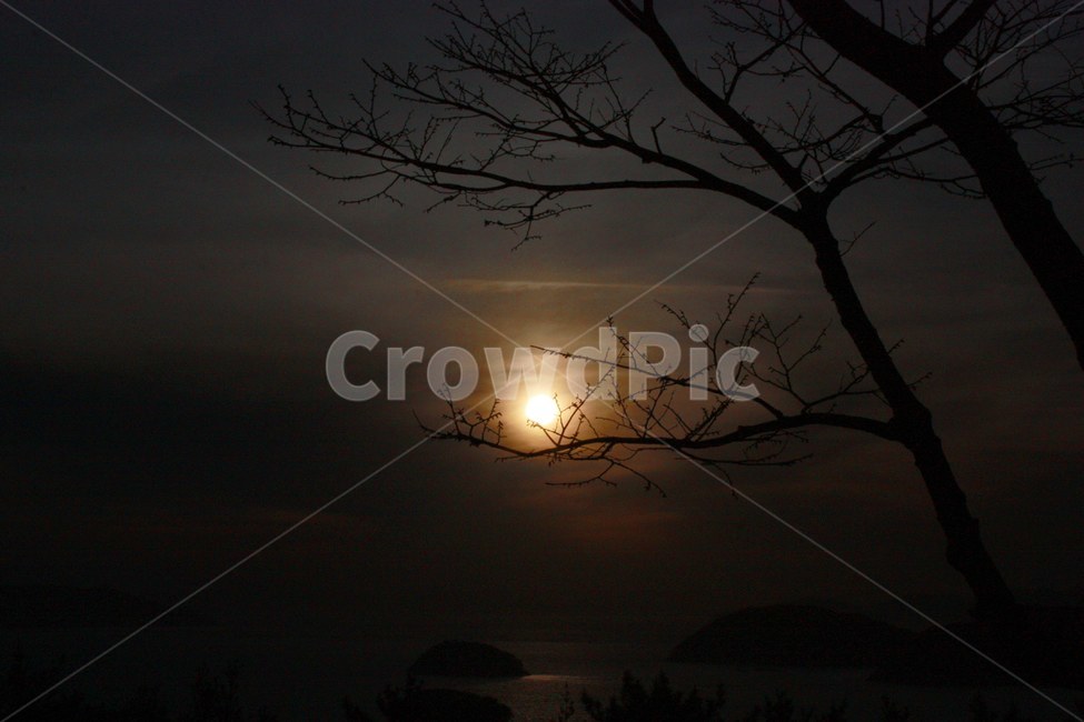 야경,일몰,빛,그림자,감성,여유,우울,적막,노을,자연,풍경,nature,landscape,outdoors,옥외