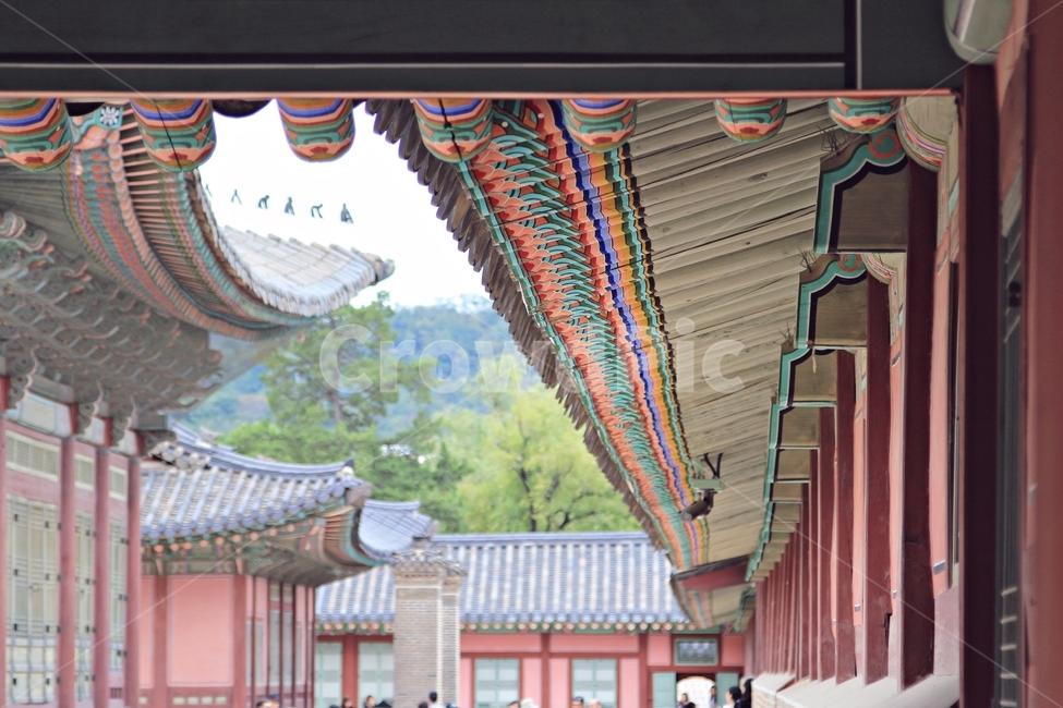 경복궁,궁,건축물,고궁,한국의미,전통,유산,지붕,기와,건축양식,조선,traditional,풍경,색감,서울,광화문,랜드마크,landmark,landscape,palace,8월고궁,한국,색,문양,전통방식,한국전통,한국문화,korean traditional,korean culture,랜드마크,landmark,tourist attraction,한국랜드마크,한국관광지,한국명소,korea landmark,korea tourist attraction,건축물,건물외관,exterior,building,structure,architecture,construction