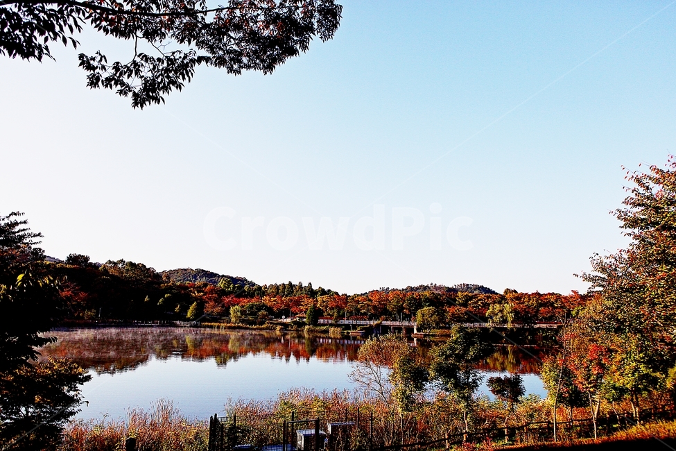 호수,단풍,아침,인천대공원,물안개,물,식물,나무,자연,풍경,공원,가을,계절,fall,autumn,season,자연,풍경,nature,landscape,outdoors,옥외