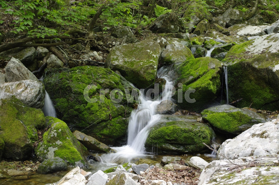 계곡,바위,물,강물,이끼,식물,자연,풍경,nature,landscape,water,outdoors,옥외,river,강