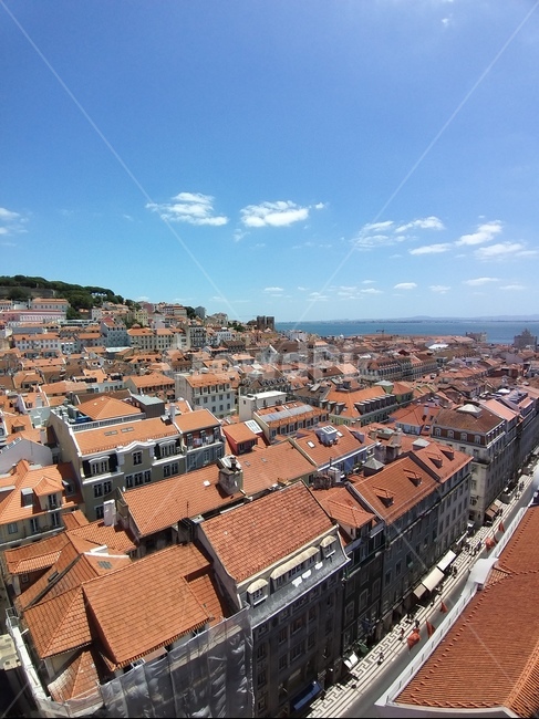 roof,지붕,포르투칼,리스본,portugal,lisbon,lisboa,유럽마을,유럽도시전경,도시,풍경,city,landscape,해외,외국,세계,foreign,oversea,world,세계도시풍경,해외도시풍경,외국도시풍경,world cityscape