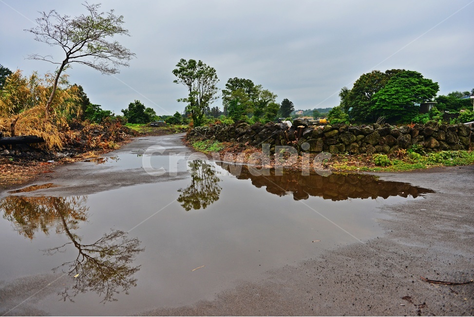 제주,성읍민속마을,water,물,nature,자연,담장,돌담장,돌담,울타리,ground,바닥,공원,비,소나기,경치,경관,풍경,비경,제주경관,outdoors,옥외