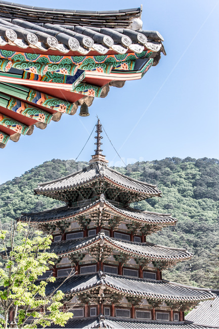 추녀,단청,팔상전,목탑,국보,문화유산,전통,한국의미,한국전통,한국문화,korean traditional,korean culture,종교,신앙,religion,belief,faith,건축물,건물외관,exterior,building,structure,architecture,construction