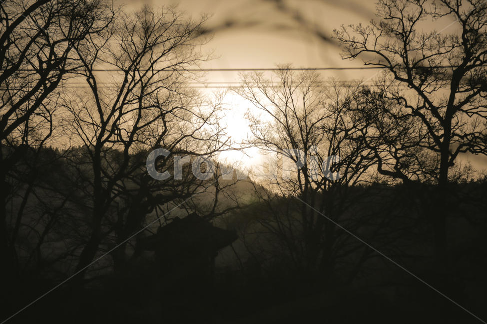 새해,일출,시골,겨울,설날,자연,풍경,nature,landscape,weather,날씨,outdoors,옥외