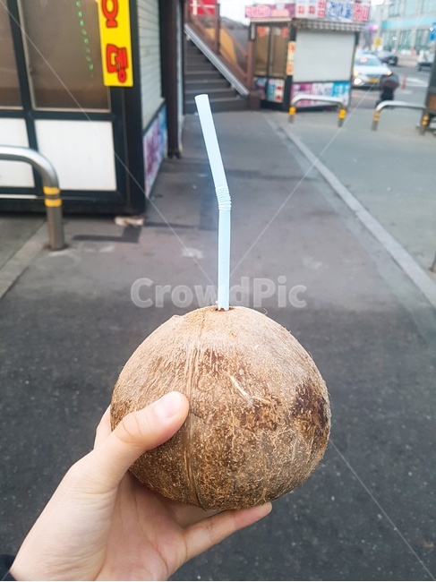 tropics,beverage,mukbang,coconut drink,straw,food,drink,coconut