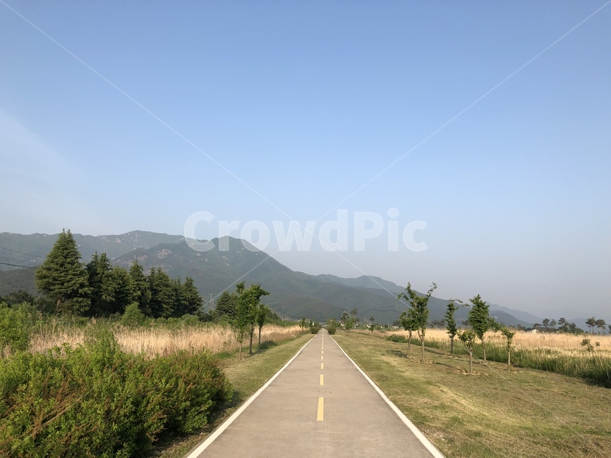 도로,road,freeway,아스팔트,무료도로,국도,공원,길,나무,tree,asphalt