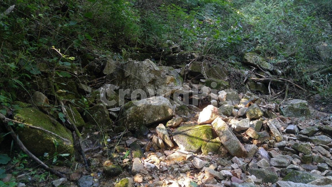 숲,계곡,돌,나무,자연,자연,풍경,nature,landscape,rubble,파편,ground,바닥