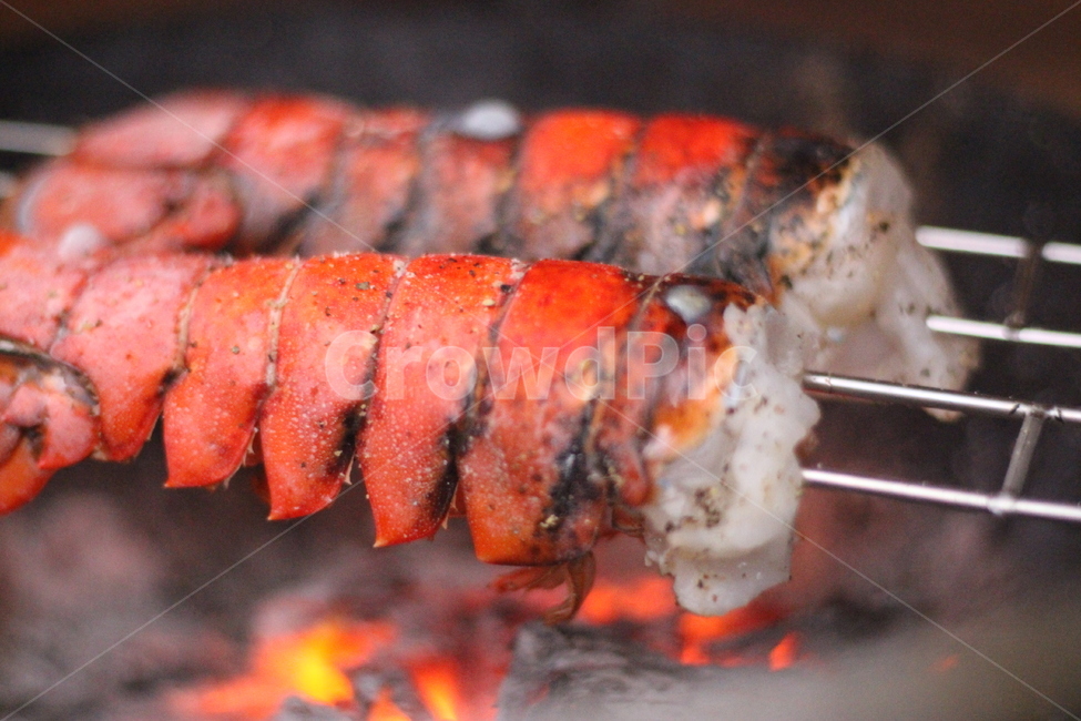 랍스터,food,음식,꼬치구이,바베큐,음식,식재료,요리,food,cook,meal,dishes,food reserves