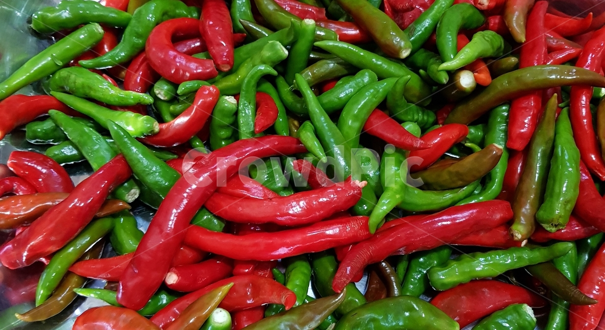 채소,풋고추,홍고추,고추,식재료,알록달록,음식,식재료,요리,food,cook,meal,dishes,food reserves,채소,야채,vegetables