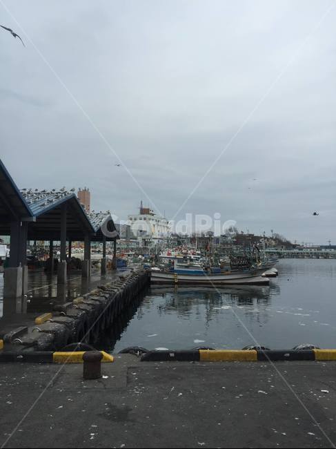 항구,배,하늘,바다,어선,도시,풍경,city,landscape,water,물,waterfront,워터 프론트,pier,교각,port,포트