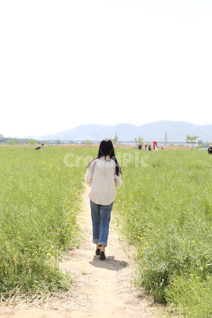 하중도,보리밭,풍경,인물,자연,풀