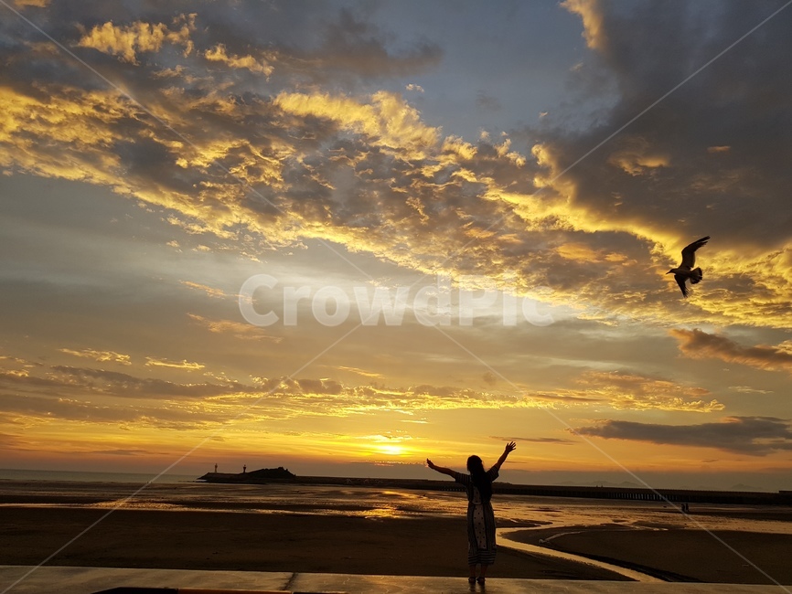 animal,동물,bird,새,silhouette,실루엣,해넘이,바다,sunset,sea,고창,구시포,구름,cloud,stream,sun,태양,사람,인물,인간,human,person,여성,여자,woman,female,lady