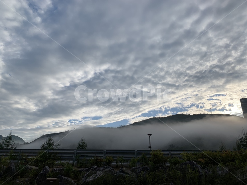 안개,구름,자연,옥외,식물,나무,tree,nature,자연,풍경,nature,landscape