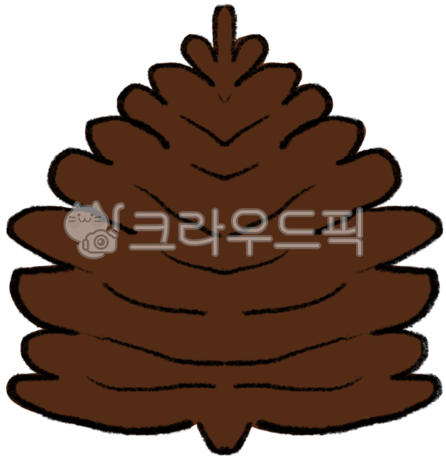 Pine cone,pine tree,pine fruit,pine cone drawing,drawing,illustration,brown