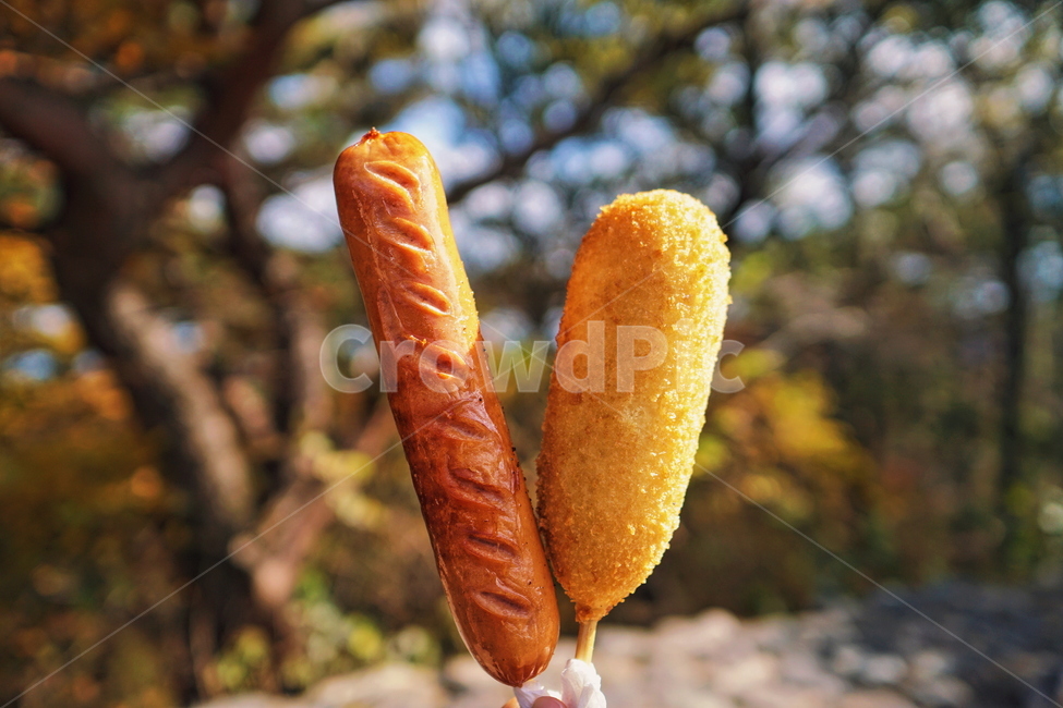 휴게소,음식,food,소시지,sausage,핫도그,hotdog,음식,식재료,요리,food,cook,meal,dishes,food reserves,디저트,간식,후식,dessert,snack